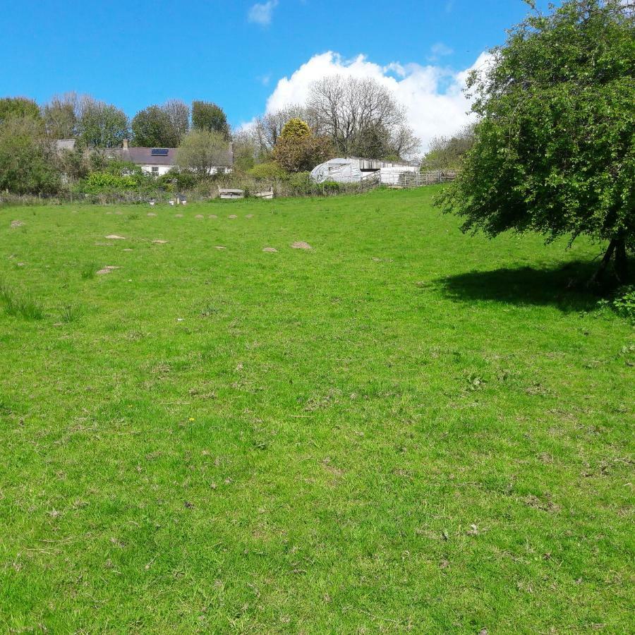Gernos Farmhouse Llandysul Εξωτερικό φωτογραφία